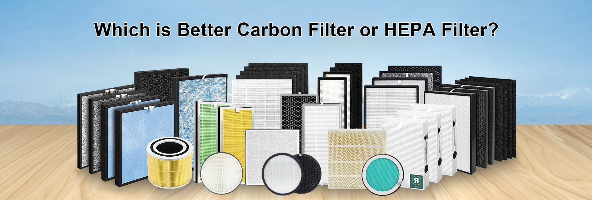 Which is Better Carbon Filter or HEPA Filter?